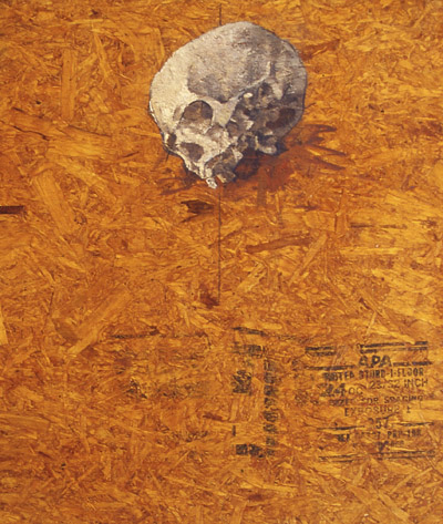 skull by Frederick Ortner